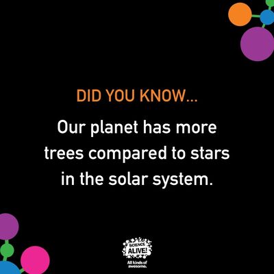 🌳🌍 It's mind-blowing how abundant and essential these guardians of our environment truly are. 🌟✨⁠
⁠
💡💚 Don't forget to hit that follow button to keep learning with us! ⁠
⁠
📚🔬 #STEM #NatureFacts #sciencealive #allkindsofawesome